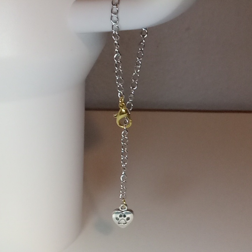 1 preppy ❤️ my dog Stanley charm!♡